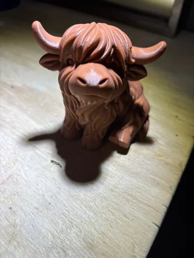 https://makerworld.bblmw.com/makerworld/model/1710379/1814734/ratings/9b7a5ea0-e07c-11f0-96a3-15bff4af695c.jpg
