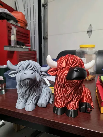 https://makerworld.bblmw.com/makerworld/model/1710379/1814734/ratings/bae541e0-f0e1-11f0-bbeb-c3bfe3702da9.jpg