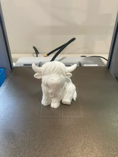 https://makerworld.bblmw.com/makerworld/model/1710379/1814734/ratings/c6e8d4b0-7fae-11f0-90d2-fd60acd5c61f.jpg