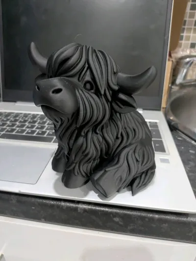 https://makerworld.bblmw.com/makerworld/model/1710379/1832587/ratings/2c8d7160-ba81-11f0-ad00-8182a3589e4f.jpg