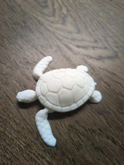 https://makerworld.bblmw.com/makerworld/model/171079/187802/ratings/05b93690-e5de-11f0-8bb9-77dcd6a7e26d.jpg