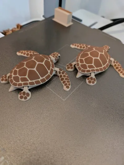 https://makerworld.bblmw.com/makerworld/model/171079/863143/ratings/f1a3ffb0-798a-11f0-acca-57089fe3be44.jpg