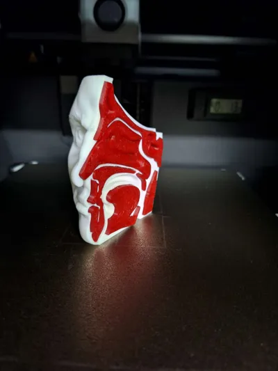 https://makerworld.bblmw.com/makerworld/model/1712679/1817471/ratings/4dd2e8e0-bd70-11f0-8248-efcf6b6e2046.jpg