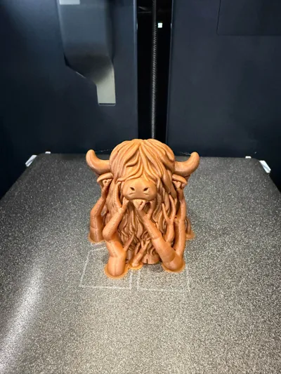 https://makerworld.bblmw.com/makerworld/model/1713171/1818087/ratings/e669e5d0-bdb7-11f0-a708-77c7e43eb32e.jpg