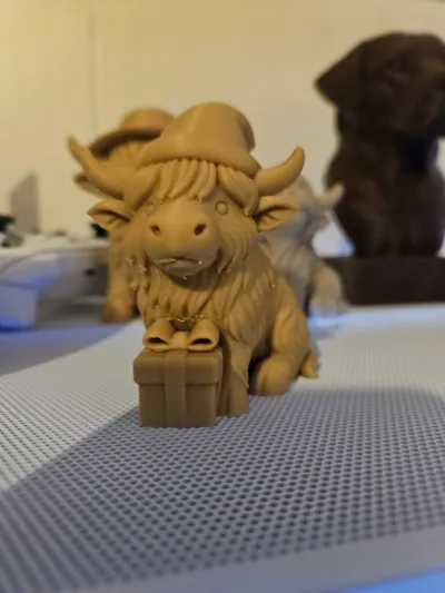 https://makerworld.bblmw.com/makerworld/model/1713200/1818120/ratings/1e187720-b418-11f0-a831-7568e7ad9670.jpg