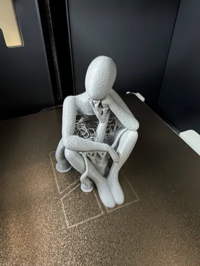 https://makerworld.bblmw.com/makerworld/model/171355/188168/ratings/01426050-dd1e-11f0-96cd-f9501c10e1b1.jpg
