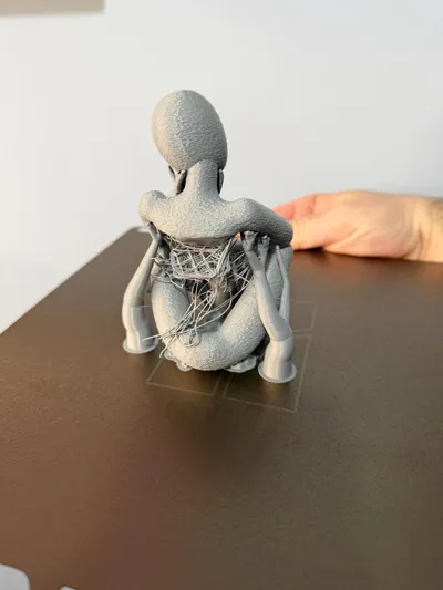 https://makerworld.bblmw.com/makerworld/model/171355/188168/ratings/0142ae70-dd1e-11f0-96cd-f9501c10e1b1.jpg