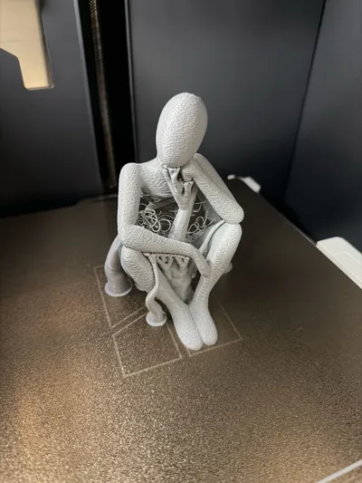 https://makerworld.bblmw.com/makerworld/model/171355/188168/ratings/01440e00-dd1e-11f0-96cd-f9501c10e1b1.jpg