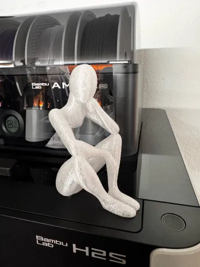 https://makerworld.bblmw.com/makerworld/model/171355/188168/ratings/827cb0d0-dcb0-11f0-aa28-13eff6b134d1.jpg