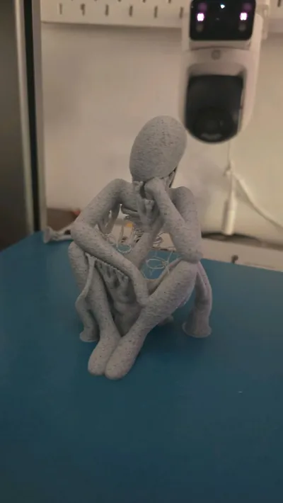 https://makerworld.bblmw.com/makerworld/model/171355/188168/ratings/e9eed2b0-ada4-11f0-9ba9-2111d86fcc86.jpg
