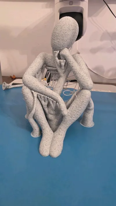 https://makerworld.bblmw.com/makerworld/model/171355/188168/ratings/e9efe420-ada4-11f0-9ba9-2111d86fcc86.jpg