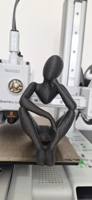 https://makerworld.bblmw.com/makerworld/model/171355/192861/ratings/2de3ffc0-051e-11f0-b79d-cdd1f318d18a.jpg
