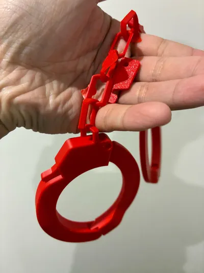 https://makerworld.bblmw.com/makerworld/model/171368/195733/ratings/863f7000-28c8-11f0-8185-c11e0cae3aa5.jpg