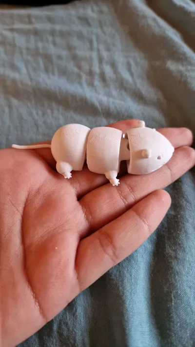 https://makerworld.bblmw.com/makerworld/model/1714315/1819396/ratings/66247f70-b8fd-11f0-86dc-5b6fcf32be08.jpg