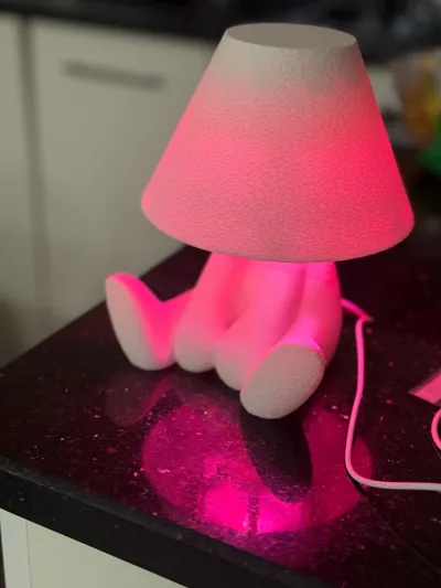 https://makerworld.bblmw.com/makerworld/model/1715160/1820347/ratings/cd0394b0-d743-11f0-b14b-7fcd556a3c74.jpg