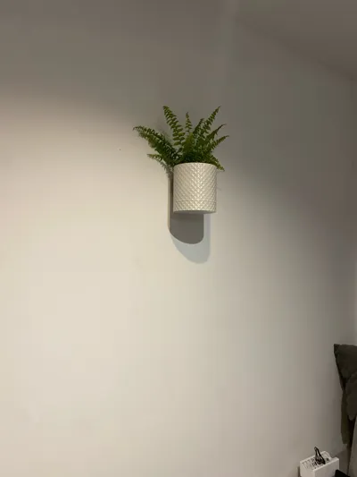 https://makerworld.bblmw.com/makerworld/model/171525/296156/ratings/482b96c0-9323-11f0-9a81-fdd4f150afe6.jpg