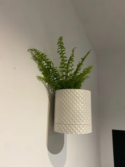 https://makerworld.bblmw.com/makerworld/model/171525/296156/ratings/484a6960-9323-11f0-9a81-fdd4f150afe6.jpg