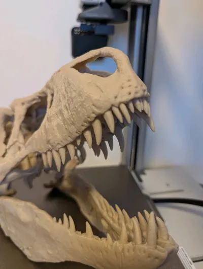https://makerworld.bblmw.com/makerworld/model/1715538/1820787/ratings/b3c7e6b0-aaaa-11f0-9018-5f0f3ecf3575.jpg