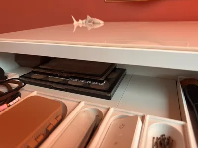 https://makerworld.bblmw.com/makerworld/model/1715912/1821255/ratings/3101a070-d414-11f0-aa3c-67d535a80017.jpg