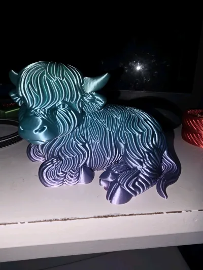 https://makerworld.bblmw.com/makerworld/model/1716250/1821639/ratings/931f2da0-f268-11f0-a194-bf38c203c52f.jpg