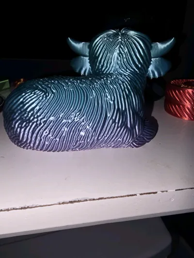https://makerworld.bblmw.com/makerworld/model/1716250/1821639/ratings/931fa2d0-f268-11f0-a194-bf38c203c52f.jpg