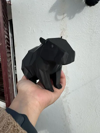 https://makerworld.bblmw.com/makerworld/model/1719097/1824659/ratings/2dd44ea0-df33-11f0-bcdf-83d52c0817b5.jpg