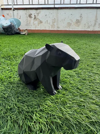https://makerworld.bblmw.com/makerworld/model/1719097/1824659/ratings/2deb0af0-df33-11f0-bcdf-83d52c0817b5.jpg