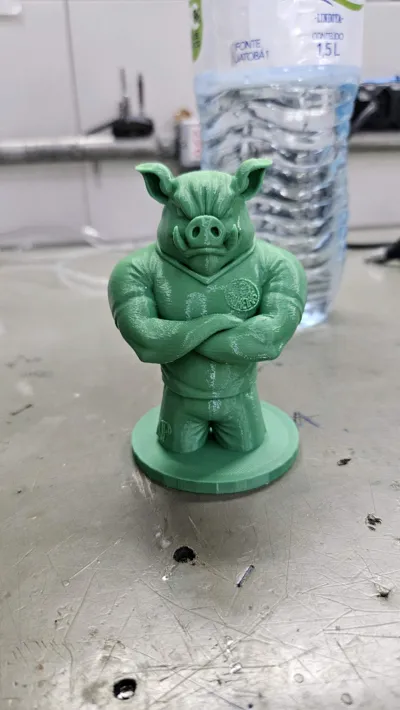 https://makerworld.bblmw.com/makerworld/model/1719932/1825545/ratings/0e6e8930-f596-11f0-82a3-59013f9a843a.jpg
