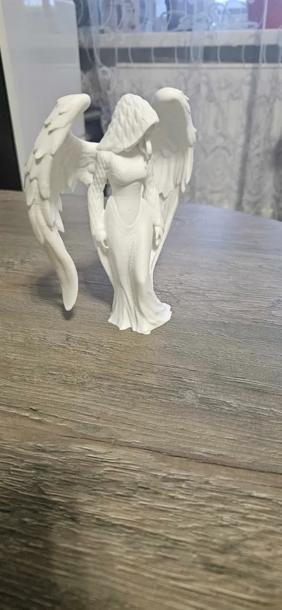 https://makerworld.bblmw.com/makerworld/model/1720717/1826448/ratings/378260a0-930b-11f0-bff3-db1dd13d3bf1.jpg