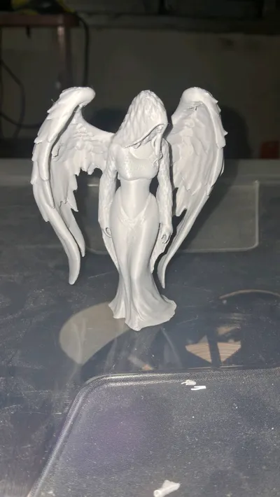 https://makerworld.bblmw.com/makerworld/model/1720717/1826448/ratings/5196d9a0-e73c-11f0-9d53-8951d5f670b7.jpg