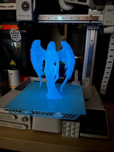 https://makerworld.bblmw.com/makerworld/model/1720717/1826448/ratings/a092ed90-84eb-11f0-87e9-ffeaed63c70c.jpg