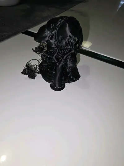 https://makerworld.bblmw.com/makerworld/model/1720761/1826501/ratings/7a018830-aaa2-11f0-9bde-2b2c9badc104.jpg