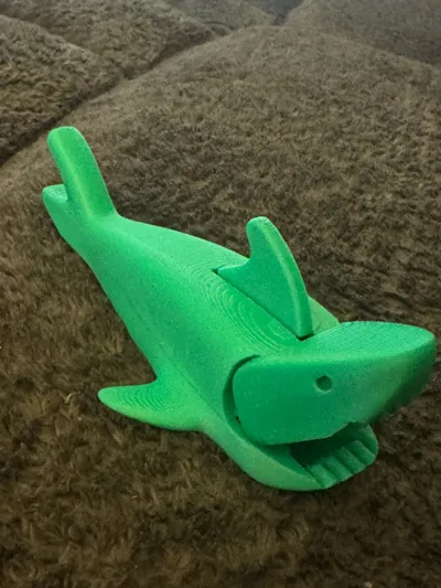 https://makerworld.bblmw.com/makerworld/model/1721287/1827084/ratings/07d13090-decc-11f0-a6b9-bbb8546a897c.jpg