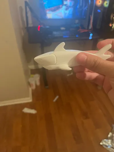 https://makerworld.bblmw.com/makerworld/model/1721287/1827084/ratings/38ca08d0-7ef4-11f0-a8e0-731b1918f404.jpg