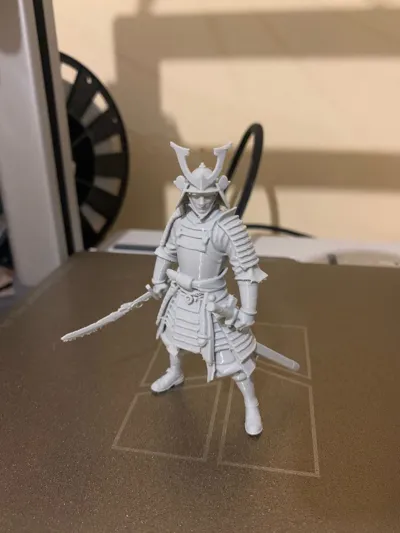 https://makerworld.bblmw.com/makerworld/model/1722291/1828224/ratings/7b041940-d0f0-11f0-9b45-79d88438bdb9.jpg