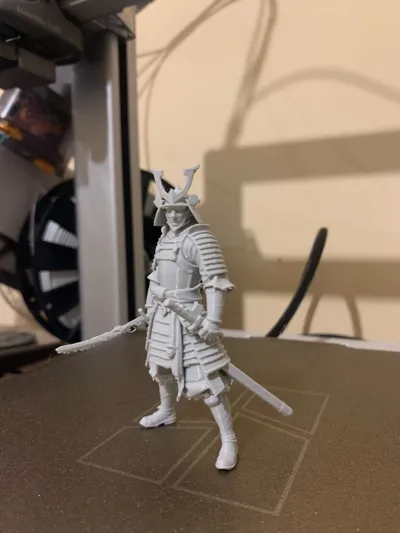 https://makerworld.bblmw.com/makerworld/model/1722291/1828224/ratings/7b088610-d0f0-11f0-9b45-79d88438bdb9.jpg