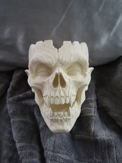 https://makerworld.bblmw.com/makerworld/model/1722495/1828483/ratings/c566b520-b43e-11f0-9799-c125dd573296.jpg