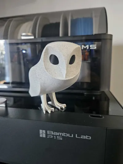 https://makerworld.bblmw.com/makerworld/model/1722735/1828733/ratings/5ba30390-eefa-11f0-8b62-5b412084a85e.jpg