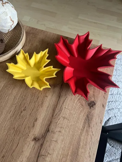 https://makerworld.bblmw.com/makerworld/model/1722816/1828813/ratings/7807c4f0-9e76-11f0-a4ad-6f42da55804b.jpg