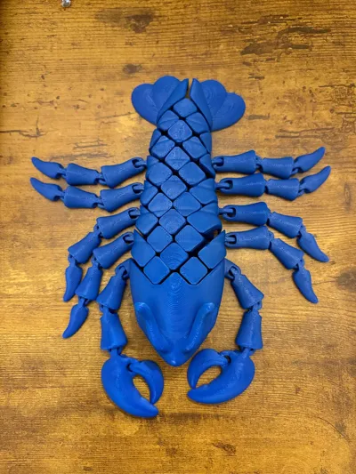 https://makerworld.bblmw.com/makerworld/model/1723071/1829136/ratings/40e8e760-82f1-11f0-a1ef-85e41abf7970.jpg