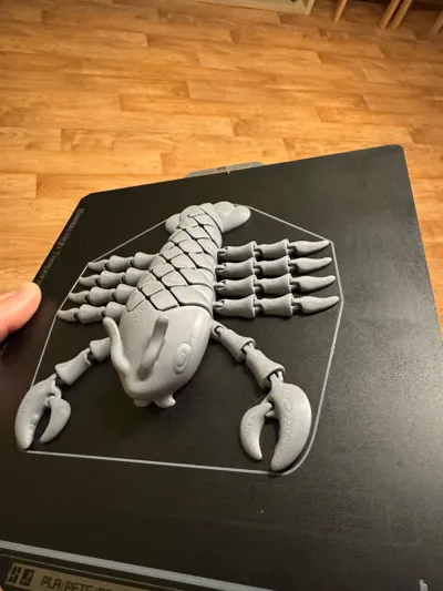 https://makerworld.bblmw.com/makerworld/model/1723071/1829136/ratings/adcaa0e0-8214-11f0-8cdf-b7e34322dd64.jpg
