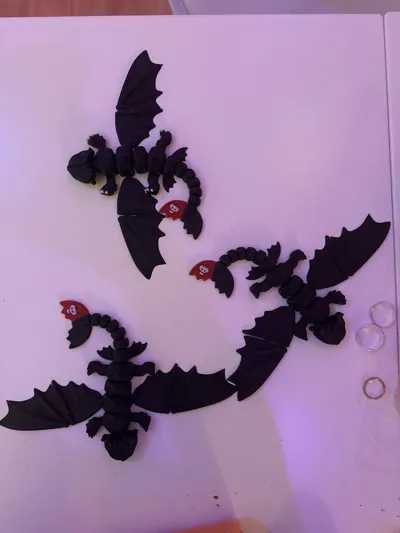 https://makerworld.bblmw.com/makerworld/model/1723239/1829327/ratings/dded00a0-9bdd-11f0-b330-6bcf36f0dd61.jpg