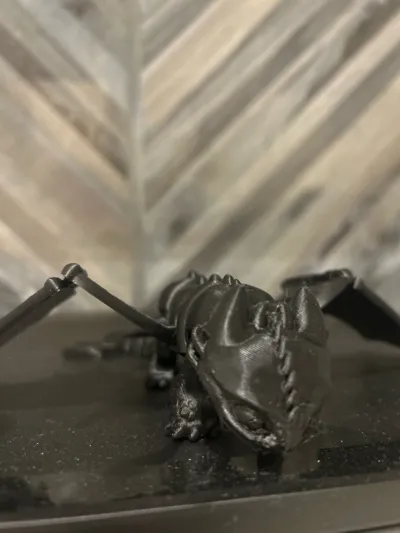 https://makerworld.bblmw.com/makerworld/model/1723239/1829481/ratings/d62d26f0-b8da-11f0-8d84-b92ccc30a344.jpg