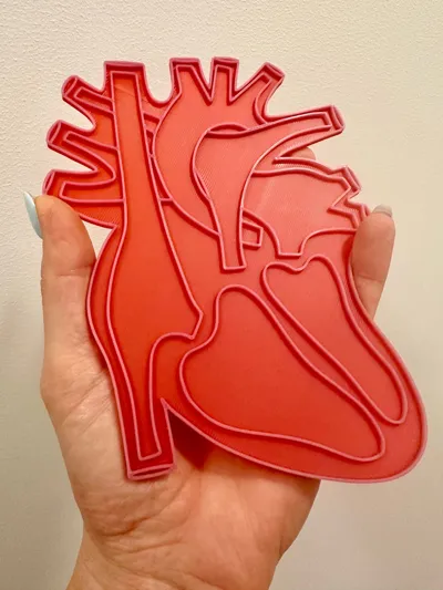 https://makerworld.bblmw.com/makerworld/model/1723675/1829855/ratings/16330ff0-eb33-11f0-bac5-f7f37dd0a4c7.jpg