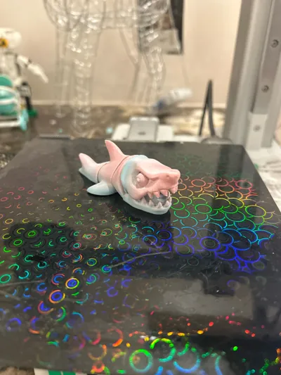 https://makerworld.bblmw.com/makerworld/model/1723676/1829962/ratings/e2326d60-98ba-11f0-8060-fb916a66cbd4.jpg