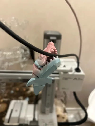 https://makerworld.bblmw.com/makerworld/model/1723676/1829962/ratings/e23d69e0-98ba-11f0-8060-fb916a66cbd4.jpg