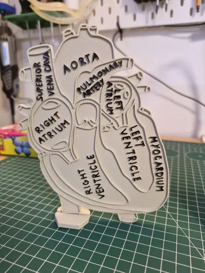 https://makerworld.bblmw.com/makerworld/model/1723759/1829945/ratings/1039e400-c2f9-11f0-a0a4-bdb4eb426577.jpg