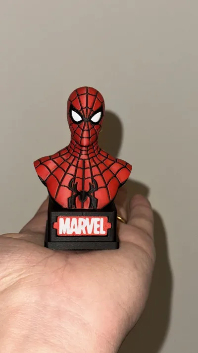 https://makerworld.bblmw.com/makerworld/model/1724558/1830902/ratings/4d57f950-cdd3-11f0-a101-1bcee83ea4e3.jpg