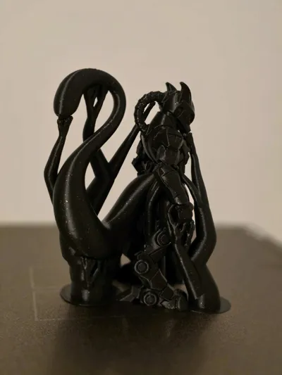 https://makerworld.bblmw.com/makerworld/model/1724801/1831085/ratings/993dc920-8487-11f0-ba91-3539726d0659.jpg