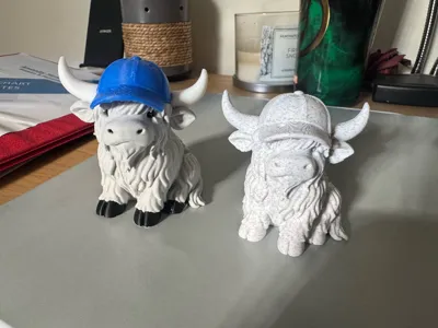 https://makerworld.bblmw.com/makerworld/model/1725190/1831580/ratings/0d613350-b368-11f0-8951-4fb1dd44a53f.jpg